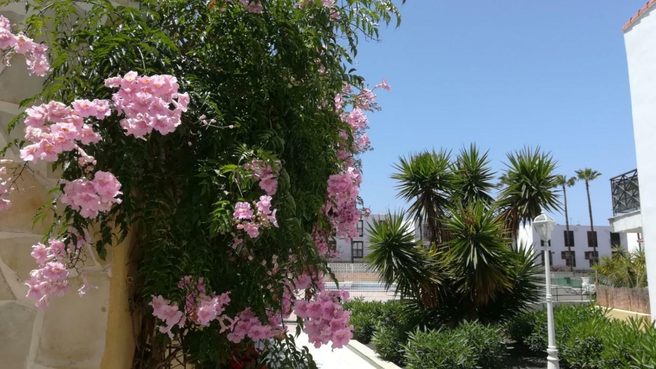 Tenerife Altamar Paradise Playa de las Américas Exterior foto